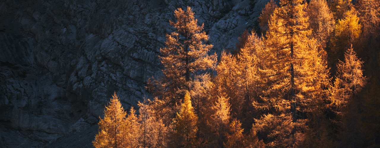 Select Image