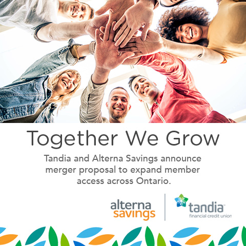 Tandia Special Merger Announcement